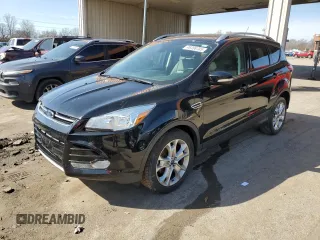 2016 Ford Escape Titanium with VIN 1FMCU0JX1GUA65239, listed as a Copart auction lot 49306785 with 124,658 mi miles and Salvage Title. Bid and sale history available at carsss.com. Image 1.