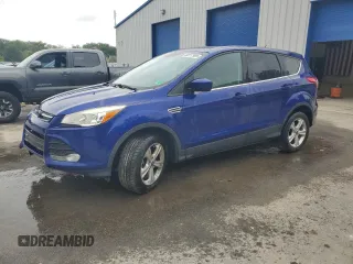 2014 Ford Escape SE with VIN 1FMCU9GX5EUE48724, listed as a Copart auction lot 60117925 with 117,910 mi miles and Salvage title. Bid and sale history available at DreamBid. Image 1.