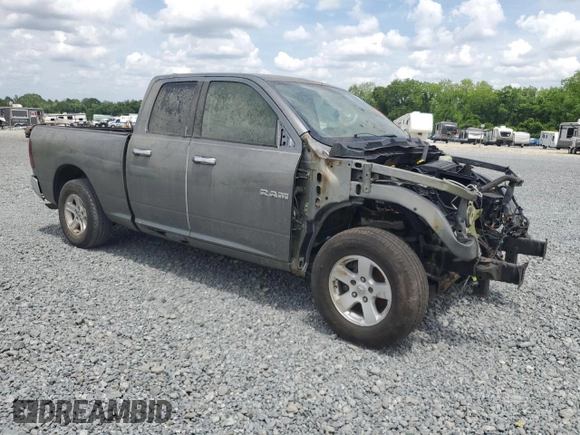 2009 Dodge 1500 SLT with VIN 1D3HB18P59S801519, listed as a Copart auction lot 55323755 with Not Provided miles and Clean Title. Bid and sale history available at carsss.com. Image 4.