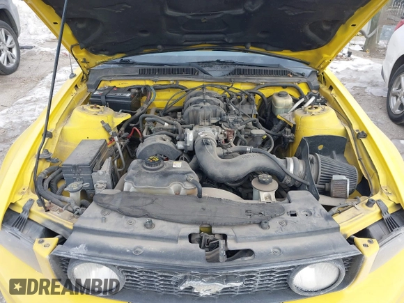 2005 Ford Mustang Deluxe with VIN 1ZVFT80N255238404, listed as a IAAI auction lot 41371727 with 150,443 mi miles. Bid and sale history available at carsss.com. Image 10.