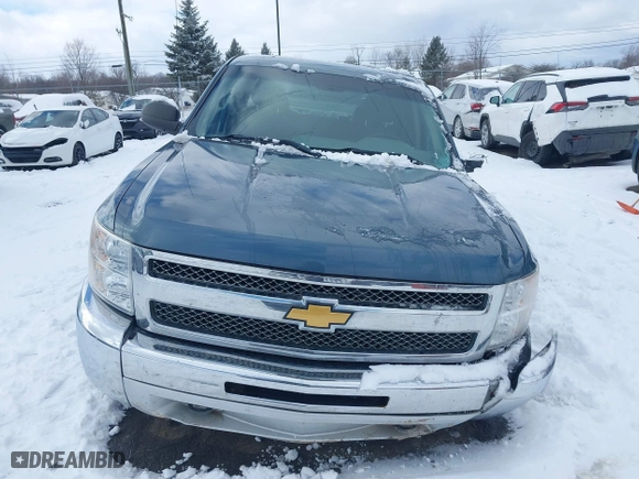 2013 Chevrolet Silverado 1500 Work Truck with VIN 1GCRKPEA8DZ364941, listed as a IAAI auction lot 41574981 with 168,516 mi miles. Bid and sale history available at carsss.com. Image 12.