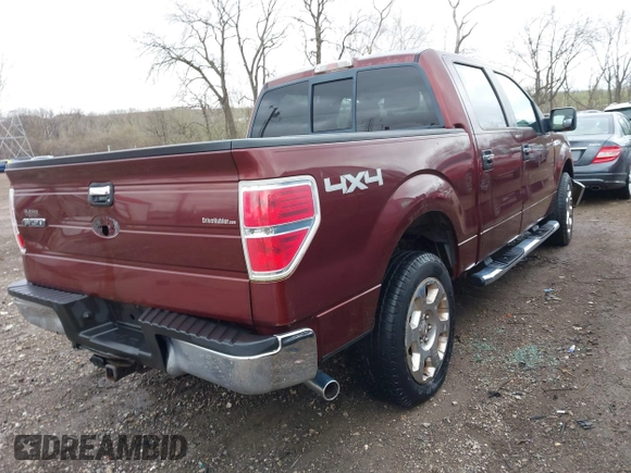 2009 Ford F-150 XL with VIN 1FTPW14V09FA04651, listed as a IAAI auction lot 41819914 with 114,241 mi miles and . Bid and sale history available at DreamBid. Image 4.