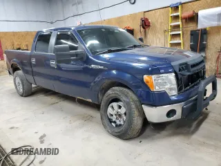 2010 Ford F-150 XL with VIN 1FTFW1E81AFA73003, listed as a Copart auction lot 62316115 with Not provided miles and Clean title. Bid and sale history available at DreamBid. Image 4.