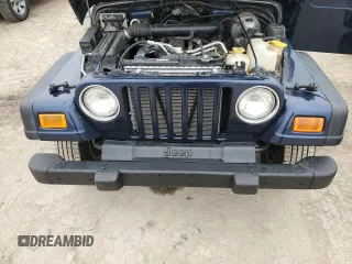 2001 Jeep Wrangler Sport with VIN 1J4FA49S91P341578, listed as a Copart auction lot 43831495 with 139,734 mi miles and Salvage Title. Bid and sale history available at carsss.com. Image 11.