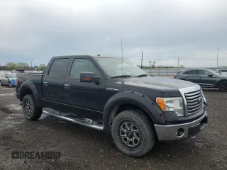 2010 Ford F-150 XL with VIN 1FTFW1EV1AKB33018, listed as a Copart auction lot 54377785 with 160,695 mi miles and Salvage title. Bid and sale history available at DreamBid. Image 4.