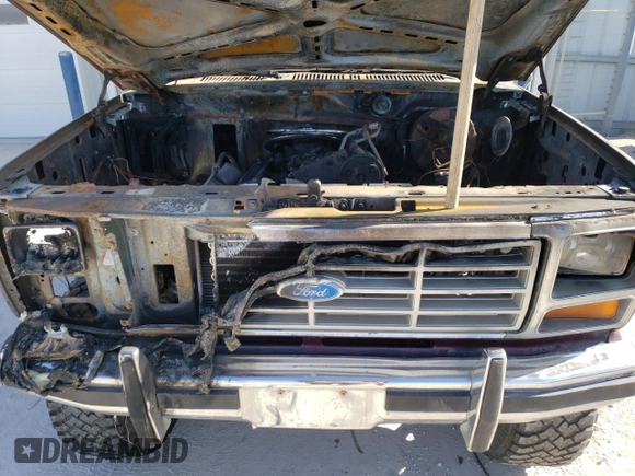 1985 Ford F-150 with VIN 1FTDF15YXFPB27178, listed as a Copart auction lot 44355395 with 0 mi miles and Clean Title. Bid and sale history available at carsss.com. Image 11.