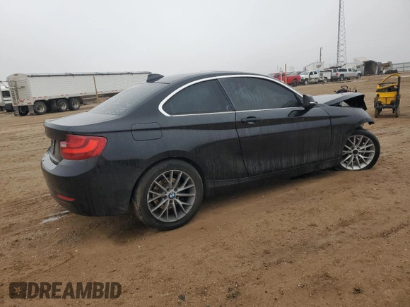 2014 BMW 2 Series 228i with VIN WBA1F5C5XEVV99178, listed as a Copart auction lot 87931195 with Not Provided miles and Salvage Title. Bid and sale history available at carsss.com. Image 3.