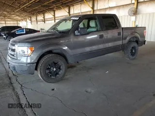 2009 Ford F-150 XL with VIN 1FTRW12829FA07511, listed as a Copart auction lot 61110745 with 175,632 mi miles and Salvage title. Bid and sale history available at DreamBid. Image 1.