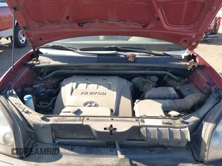 2005 Hyundai Tucson GLS with VIN KM8JN12D85U087248, listed as a IAAI auction lot 42034749 with 209,199 mi miles. Bid and sale history available at carsss.com. Image 10.
