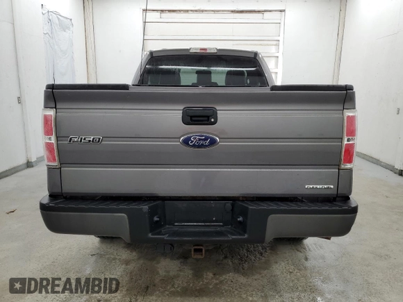 2013 Ford F-150 XL with VIN 1FTMF1EF5DKF67754, listed as a Copart auction lot 42208864 with 254,867 mi miles and Clean Title. Bid and sale history available at carsss.com. Image 6.