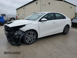 2019 Kia Forte S with VIN 3KPF34AD3KE064375, listed as a Copart auction lot 44607445 with 52,124 mi miles and Clean Title. Bid and sale history available at carsss.com. Image 1.