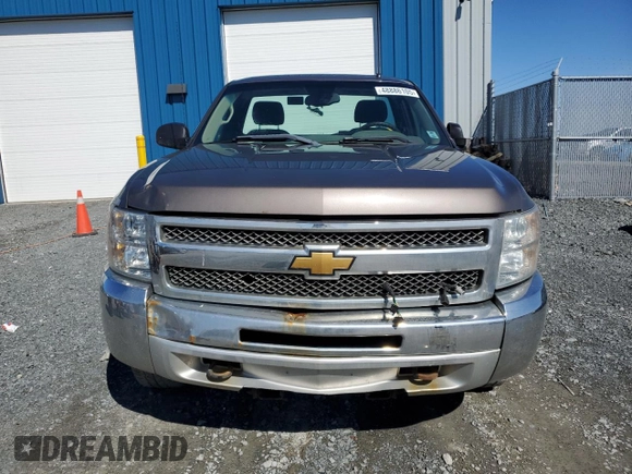 2012 Chevrolet Silverado 1500 Work Truck with VIN 1GCNKPEA4CZ226438, listed as a Copart auction lot 48886105 with 381,766 mi miles and Non Repairable. Bid and sale history available at DreamBid. Image 5.