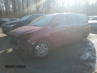 2005 Honda Odyssey EX-L with VIN 5FNRL38675B070239, listed as a Copart auction lot 49959515 with 217,089 mi miles and Salvage Title. Bid and sale history available at carsss.com. Image 1.
