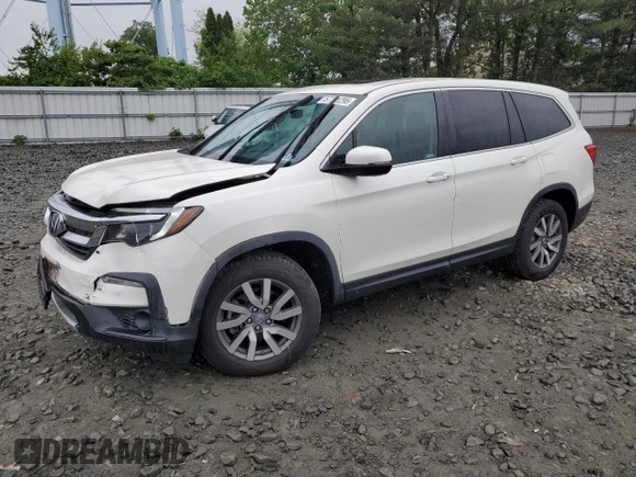 2019 Honda Pilot EX-L with VIN 5FNYF6H5XKB050512, listed as a Copart auction lot 57701295 with 49,031 mi miles and Salvage title. Bid and sale history available at DreamBid. Image 1.