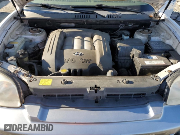 2005 Hyundai Santa Fe GLS with VIN KM8SC73DX5U916249, listed as a Copart auction lot 48339345 with 141,143 mi miles and Salvage Title. Bid and sale history available at carsss.com. Image 12.