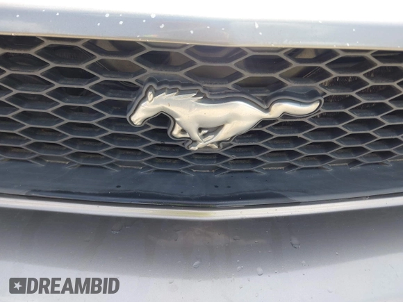2005 Ford Mustang Deluxe with VIN 1ZVFT80NX55145615, listed as a IAAI auction lot 42511360 with 236,242 mi miles and . Bid and sale history available at DreamBid. Image 6.