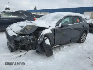 2020 Mazda CX-30 Select Package with VIN 3MVDMBCL0LM125331, listed as a Copart auction lot 43051355 with Not Provided miles and Non Repairable. Bid and sale history available at carsss.com. Image 1.