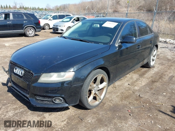 2010 Audi A4 2.0T Premium with VIN WAUAFAFL3AN044196, listed as a IAAI auction lot 41802119 with 101,253 mi miles. Bid and sale history available at carsss.com. Image 2.