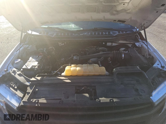 2018 Ford F-150 XL with VIN 1FTEX1CB1JKF29595, listed as a Copart auction lot 51183555 with 169,704 mi miles and Clean Title. Bid and sale history available at carsss.com. Image 11.