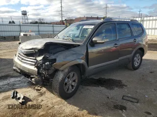 2009 Kia Borrego EX with VIN KNDJH741495039165, listed as a Copart auction lot 80456814 with Not Provided miles and Salvage Title. Bid and sale history available at DreamBid. Image 1.