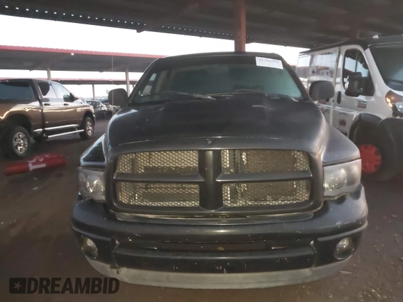 2003 Dodge 1500 ST z VIN 1D7HA18N53J666927, wystawiony jako IAAI lot #41754734 z przebiegiem 308 997 mil mil oraz . Historia ofert i sprzedaży dostępna na DreamBid. Obrazek 12.