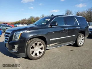 2019 Cadillac Escalade Luxury with VIN 1GYS3BKJ2KR115063, listed as a Copart auction lot 84330804 with 43,600 mi miles and Clean Title. Bid and sale history available at carsss.com. Image 1.