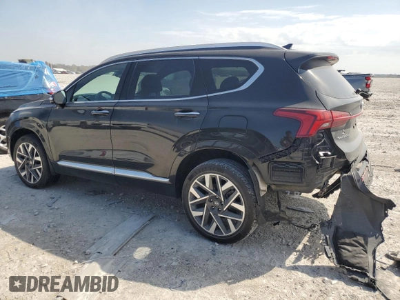 2023 Hyundai Santa Fe Calligraphy with VIN 5NMS5DALXPH499586, listed as a Copart auction lot 54236845 with 59,257 mi miles and Salvage title. Bid and sale history available at DreamBid. Image 2.