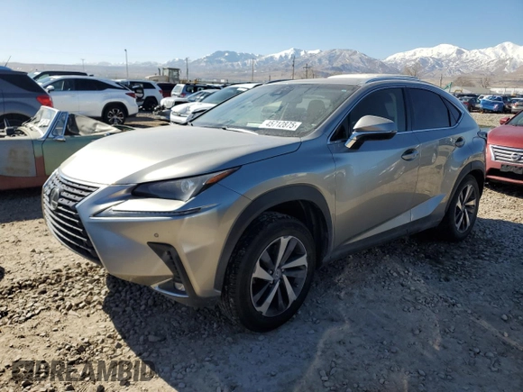 2018 Lexus NX with VIN JTJBARBZ0J2173090, listed as a Copart auction lot 45712875 with 61,004 mi miles and Salvage Title. Bid and sale history available at carsss.com. Image 1.