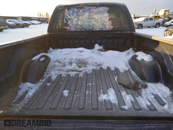 2006 Dodge 1500 SLT with VIN 1D7HU16296J228402, listed as a Copart auction lot 79925124 with 130,440 mi miles and Salvage Title. Bid and sale history available at DreamBid. Image 10.