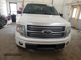 2012 Ford F-150 XL with VIN 1FTFW1ET3CFC99003, listed as a Copart auction lot 60062875 with 182,171 mi miles and Salvage title. Bid and sale history available at DreamBid. Image 5.