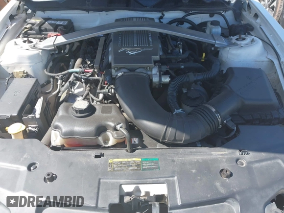 2010 Ford Mustang GT with VIN 1ZVBP8CH4A5158878, listed as a IAAI auction lot 41788790 with 133,892 mi miles and . Bid and sale history available at DreamBid. Image 10.
