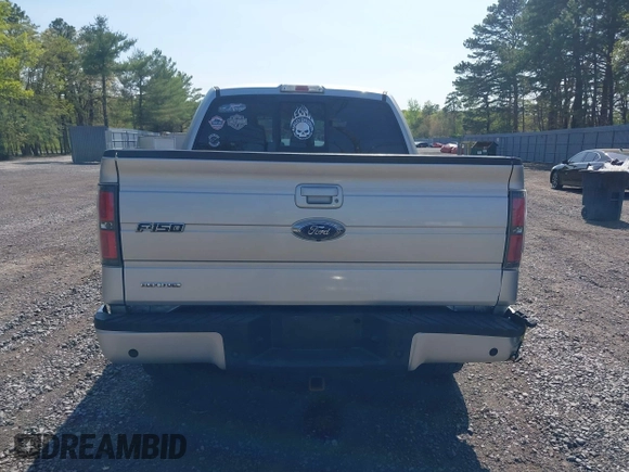 2013 Ford F-150 XL z VIN 1FTFW1EF6DFA64381, wystawiony jako IAAI lot #42159695 z przebiegiem 218 330 mil mil oraz . Historia ofert i sprzedaży dostępna na DreamBid. Obrazek 16.