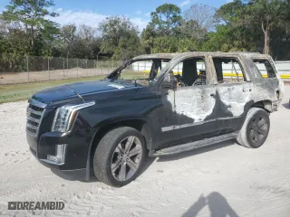 2017 Cadillac Escalade Luxury with VIN 1GYS4BKJ6HR374189, listed as a Copart auction lot 89162875 with 0 mi miles and Non Repairable. Bid and sale history available at carsss.com. Image 1.