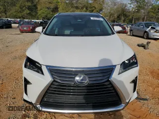 2019 Lexus RX with VIN 2T2BGMCA3KC041534, listed as a Copart auction lot 49729265 with 0 mi miles and Salvage Title. Bid and sale history available at carsss.com. Image 5.