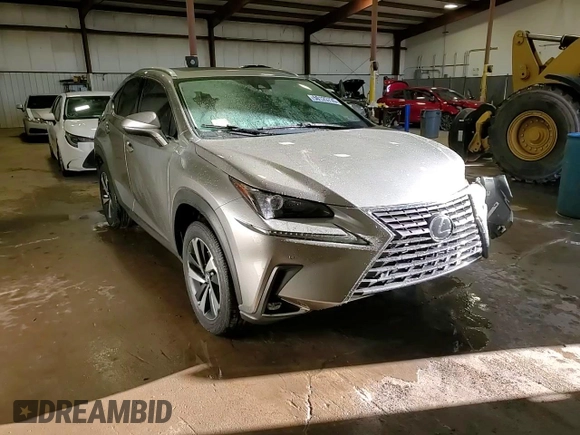 2021 Lexus NX with VIN JTJGARDZ6M2245174, listed as a Copart auction lot 50125735 with 18,957 mi miles and Salvage Title. Bid and sale history available at carsss.com. Image 13.
