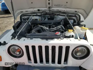 2002 Jeep Wrangler X with VIN 1J4FA39S72P759469, listed as a Copart auction lot 49701165 with 132,790 mi miles and Clean Title. Bid and sale history available at carsss.com. Image 11.