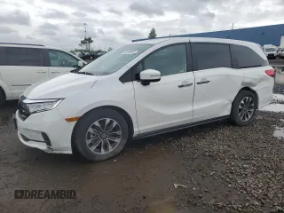2024 Honda Odyssey EX-L с VIN 5FNRL6H69RB039419, выставлен на аукционе Copart как лот 56296965 с пробегом 26 049 миль миль и Чистый • Clean title. История ставок и продаж доступна на DreamBid. Изображение 1.