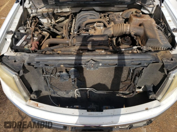 2009 Ford F-150 STX with VIN 1FTRX12829KB97914, listed as a Copart auction lot 56244425 with 264,622 mi miles and Salvage title. Bid and sale history available at DreamBid. Image 11.