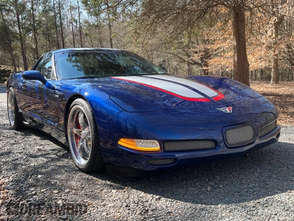 2004 Chevrolet Corvette Z06 with VIN 1G1YY12S945126732, listed as a Copart auction lot 46402085 with 34,600 mi miles and Clean Title. Bid and sale history available at carsss.com. Image 2.
