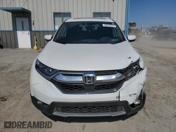 2019 Honda CR-V EX with VIN 2HKRW2H52KH668745, listed as a Copart auction lot 48679375 with 116,576 mi miles and Salvage Title. Bid and sale history available at DreamBid. Image 5.