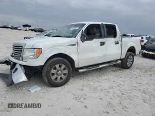 2010 Ford F-150 XL with VIN 1FTEW1C88AKA66121, listed as a Copart auction lot 85482064 with 0 mi miles and Salvage Title. Bid and sale history available at carsss.com. Image 1.