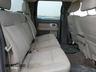 2010 Ford F-150 XL with VIN 1FTEW1E84AFD14774, listed as a Copart auction lot 60530435 with 150,299 mi miles and Salvage title. Bid and sale history available at DreamBid. Image 10.