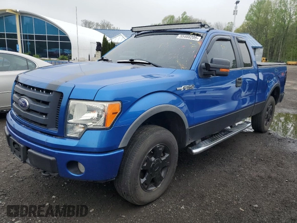 2010 Ford F-150 XL with VIN 1FTFX1EV3AFC01745, listed as a Copart auction lot 55466205 with 125,836 mi miles and Clean Title. Bid and sale history available at carsss.com. Image 1.