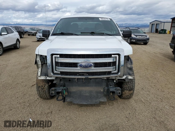 2013 Ford F-150 XL z VIN 1FTFW1EF8DFC06181, wystawiony jako Copart lot #48256795 z przebiegiem 147 939 mil mil oraz Szkoda całkowita • Salvage title. Historia ofert i sprzedaży dostępna na DreamBid. Obrazek 5.