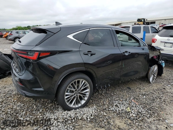 2025 Lexus NX 350 Premium with VIN 2T2GGCEZ0SC083565, listed as a Copart auction lot 58408165 with 1,012 mi miles and Salvage title. Bid and sale history available at DreamBid. Image 3.