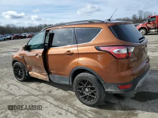 2017 Ford Escape SE with VIN 1FMCU0GD3HUC04513, listed as a Copart auction lot 47295575 with 147,938 mi miles and Salvage Title. Bid and sale history available at DreamBid. Image 2.
