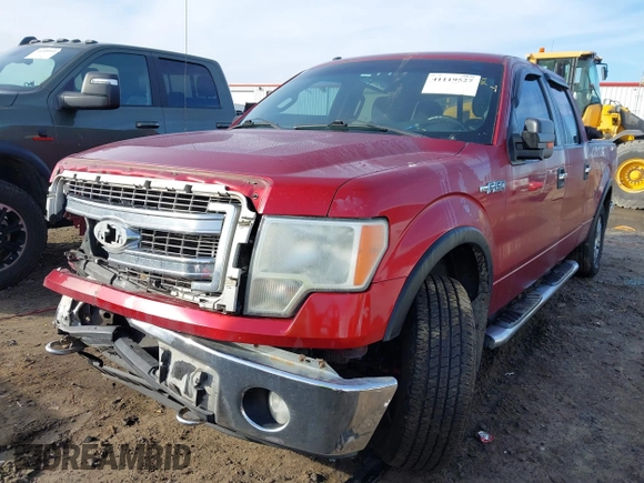 2013 Ford F-150 XL with VIN 1FTFW1EF1DFA78429, listed as a IAAI auction lot 41119527 with 280,736 mi miles. Bid and sale history available at carsss.com. Image 21.