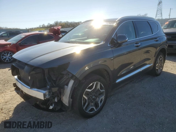 2023 Hyundai Santa Fe Limited with VIN 5NMS4DALXPH641406, listed as a Copart auction lot 48436055 with 43,382 mi miles and Salvage Title. Bid and sale history available at carsss.com. Image 1.
