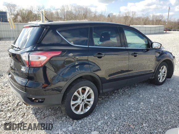 2017 Ford Escape SE with VIN 1FMCU9GDXHUC69976, listed as a Copart auction lot 53529355 with 127,074 mi miles and Salvage Title. Bid and sale history available at DreamBid. Image 3.