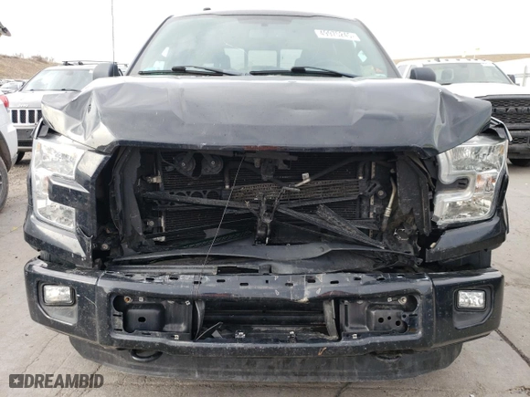 2016 Ford F-150 XLT with VIN 1FTEW1EPXGFC66455, listed as a Copart auction lot 49975245 with 108,534 mi miles and Salvage Title. Bid and sale history available at carsss.com. Image 5.